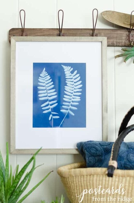 how to make sun prints-3