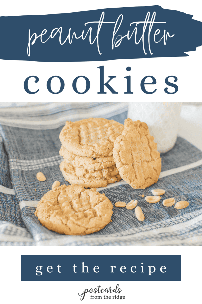 peanut butter cookies recipe