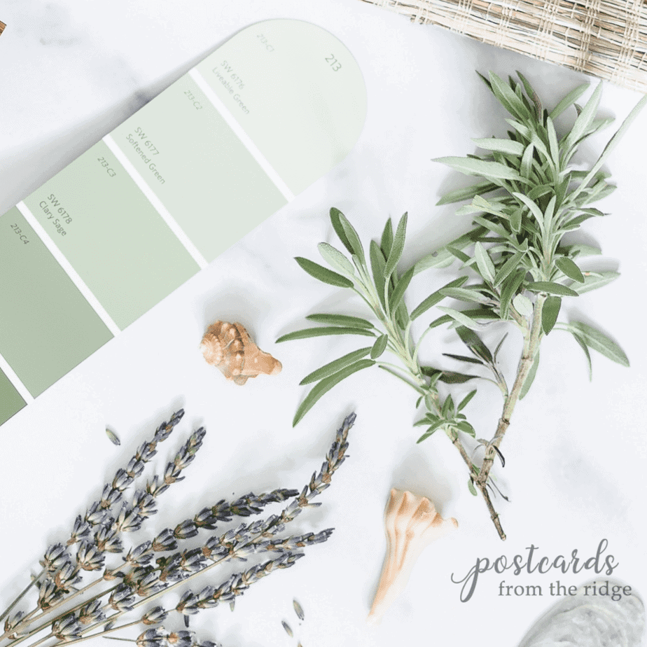 sherwin williams clary sage paint color