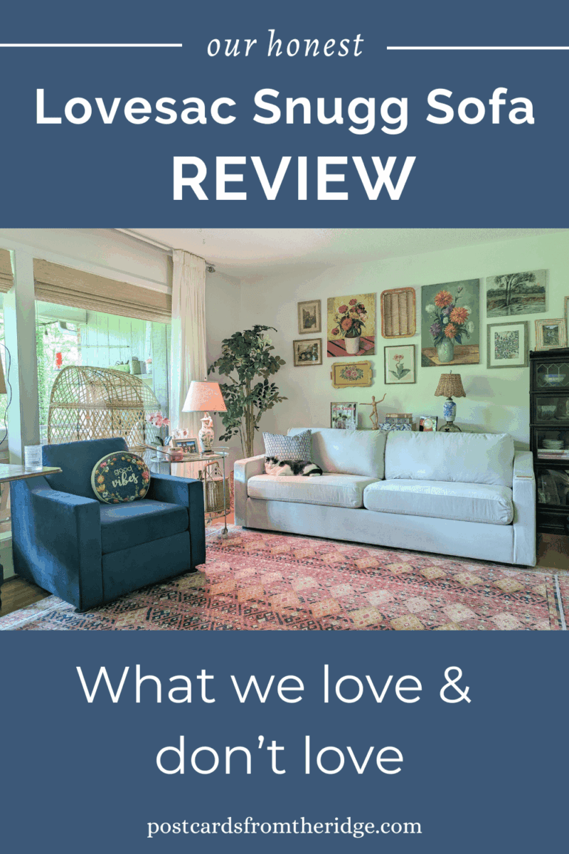 Lovesac snugg sofa and chair in living room with pink rug and vintage wall art