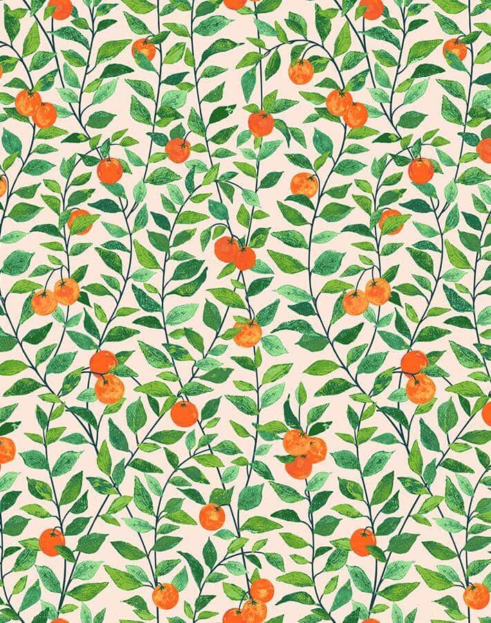 orange crush peel and stick wallpaper by nathan turner peach wallshoppe