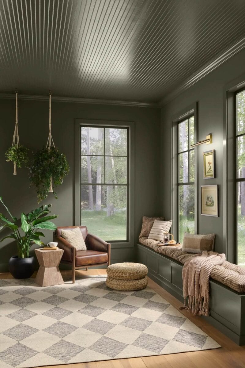 Behr Color of the Year 2027 - Grounded T27-01 color drench